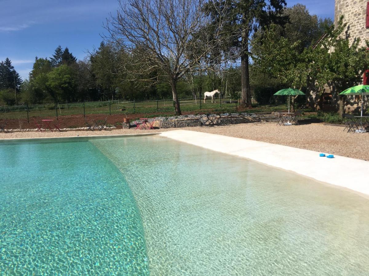 Ecuries De Saint Maurice- Maison D'Hotes De Gondou Lacapelle-Marival Kültér fotó